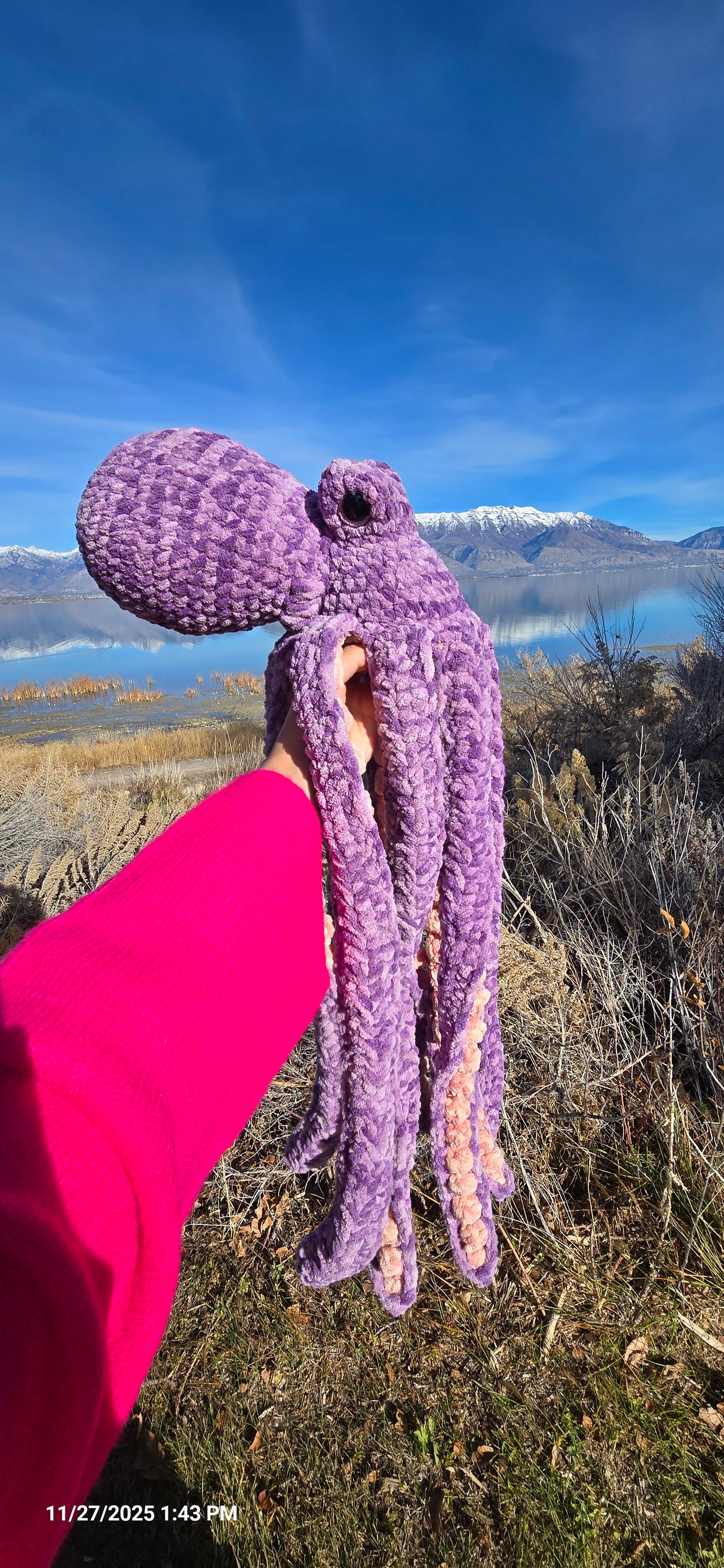 Anchor Octopus