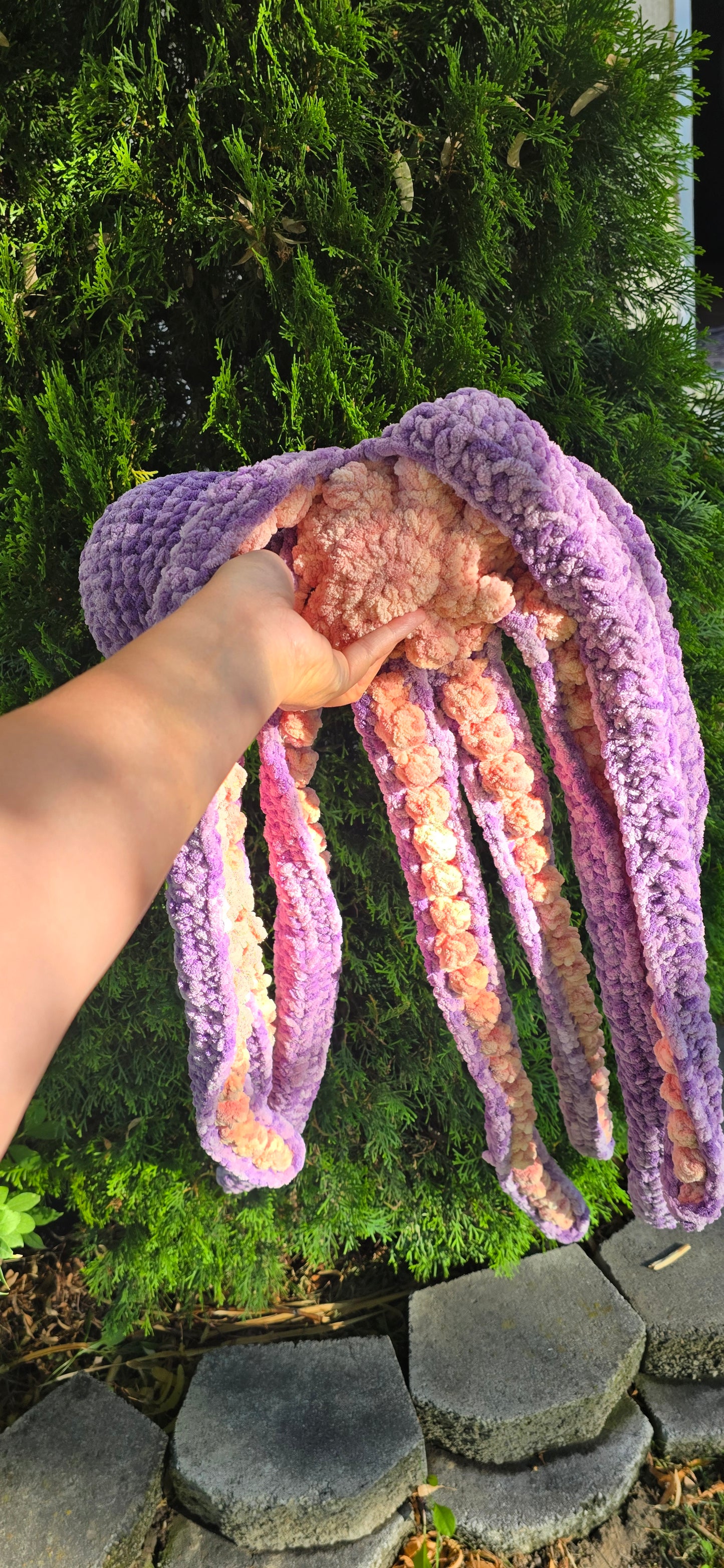 Anchor Octopus